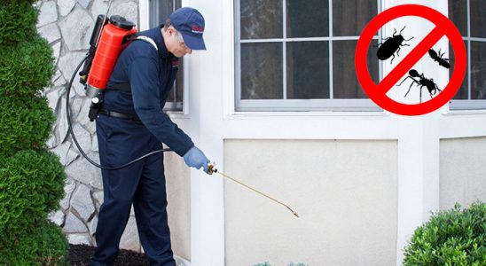 Akçaabat Akrep İlaçlama böcek ilaçlama ve haşere kontrolü — ilaclama-tr.com